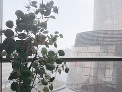 -章记星洲 · 新加坡餐厅(望京店)