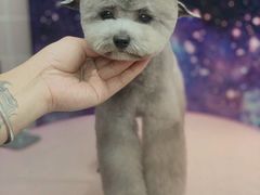 -FAELING PETS美天灵宠物(富力广场店)