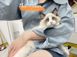 -花系美·美甲美睫精品店