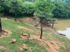 -西霞口神雕山野生动物世界