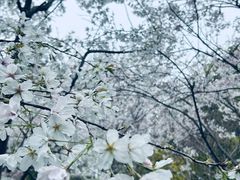 -堤角公园