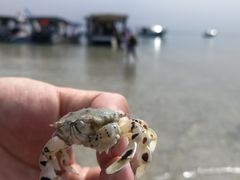 -海盗餐厅