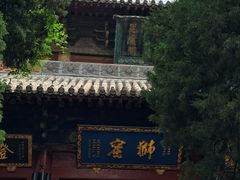 -洛阳白马寺
