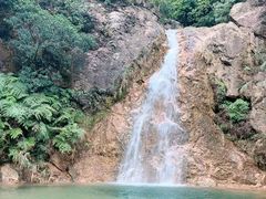 -南海湾森林生态园