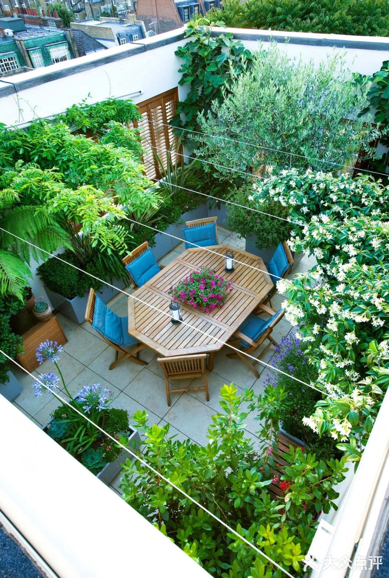 今日分享[礼花]为什么我要买顶楼？