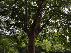 -范蠡湖公园