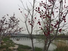 -水西公园