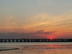 -宝安西湾红树林湿地公园