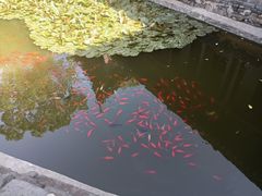 -华清宫景区