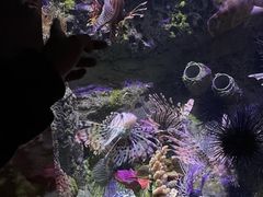 -太平洋海底世界