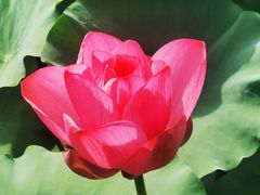 -上海市保健医疗中心