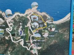 -广东惠东海龟国家级自然保护区