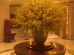 -东怡大酒店(上海科技馆店)