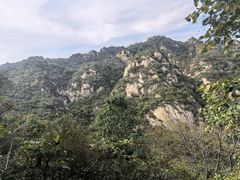 -大岭沟猕猴桃谷风景区