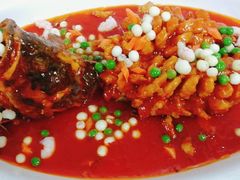 -外滩1288花园丽舍