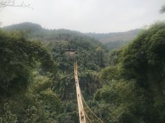 -川西竹海景区