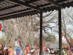 -大槐树寻根祭祖园