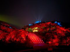 -印象普陀