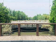 -九里河湿地公园