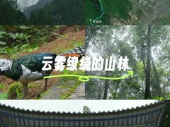 -阳台山自然风景区