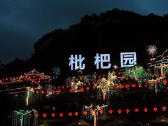 -枇杷园食为鲜火锅(南山店)