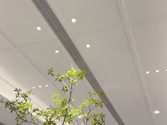 -金春禧(世茂国际广场店)