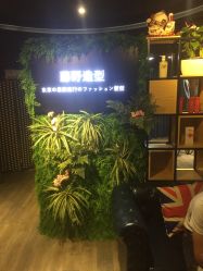 点击看大图 -藤野造型