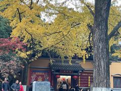 -灵谷景区