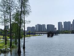 -飞来湖湿地公园