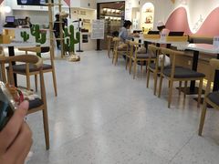 大堂-喵园·猫主题咖啡厅·撸猫·猫咖(国贸店)