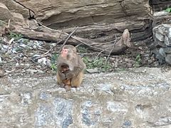 -北京上方山国家森林公园