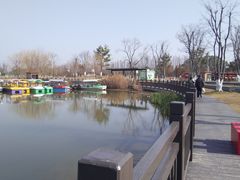 -上海长兴岛郊野公园