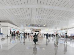 -石家庄正定国际机场-T2航站楼