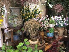 -山海经·海边人家 海鲜新青岛菜(扬州路店)