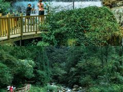 -西岭雪山大飞水景区