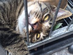 iphone_upload_pic-沐恩堂