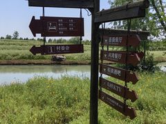 -乌村