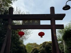 -十里琅珰