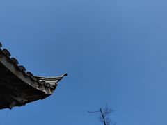 -芥子园
