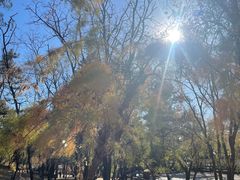 -承德避暑山庄景区