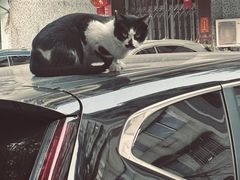 -晓港公园