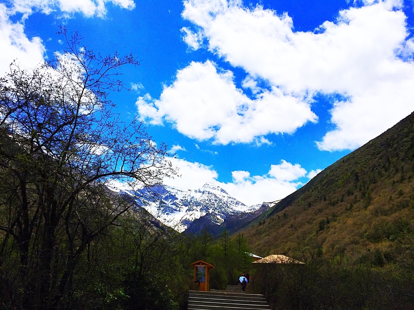 黄龙风景区以岷山主峰雪宝顶为中心,是中国