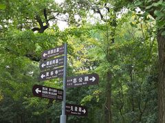 -灵谷景区