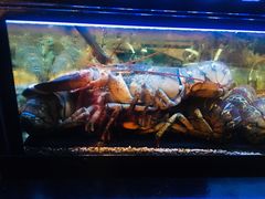 -Burger & Lobster(Dean Street)