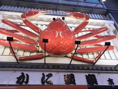 -蟹道乐(道顿堀本店)