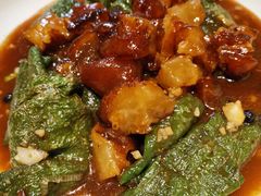 牛蹄筋-新疆巴州金丝特餐厅(大钟寺店)