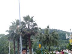 -重庆海昌加勒比海水世界