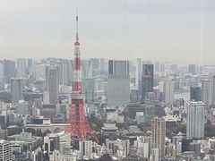 -六本木新城展望台(东京城市景观)