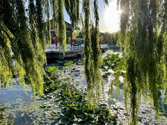 -长春市南湖公园