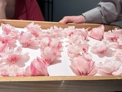 -炳胜品味(深圳湾万象城店)